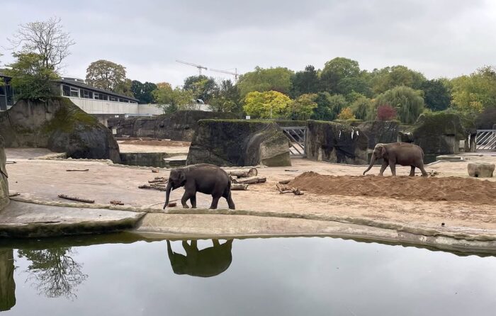 Ein schöner Tag im Zoo! 