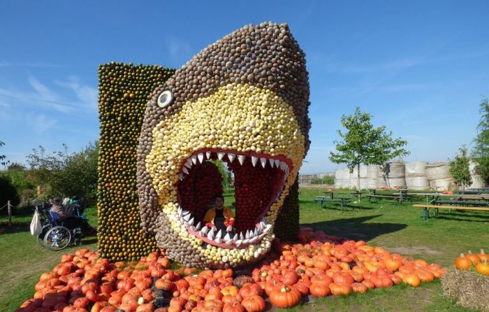 Tschüss Sommer – hallo Herbst!