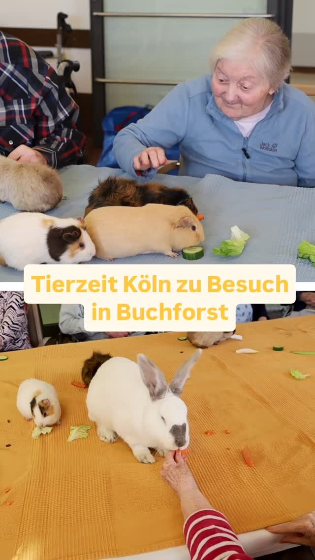 Noch mehr Osterhasen! 🐰