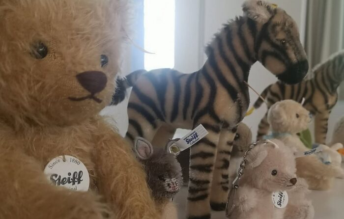 Lesereihe bei den SBK