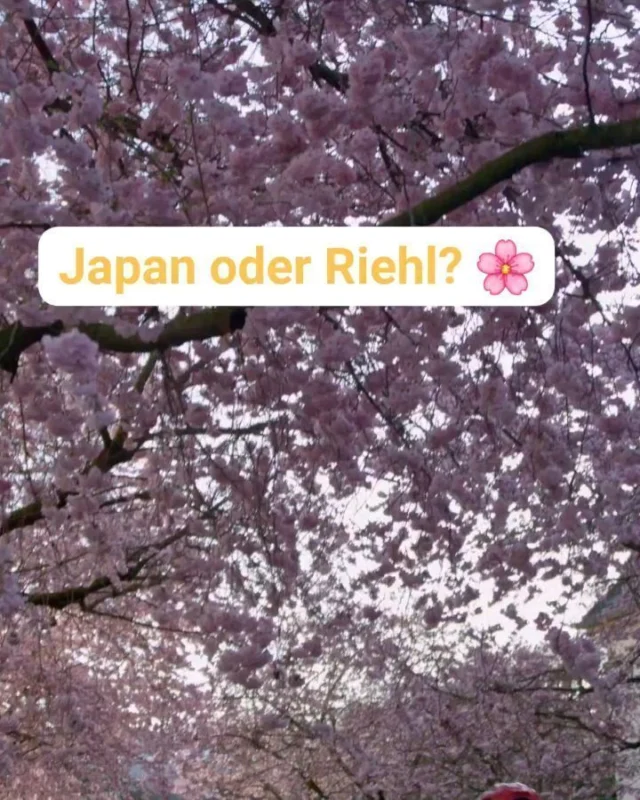 sozial_betriebe_koeln